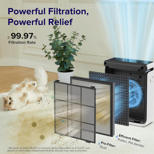 Smart Air Purifier with HEPA Filter